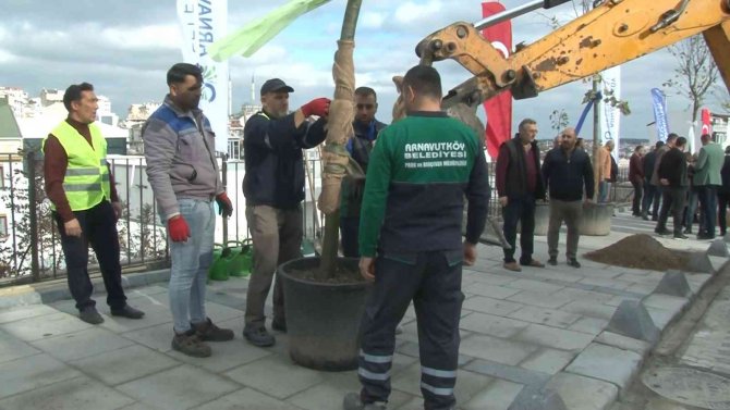 Arnavutköy’de Dikilecek 5 Bin Ağacın Dikimi İçin Start Verildi