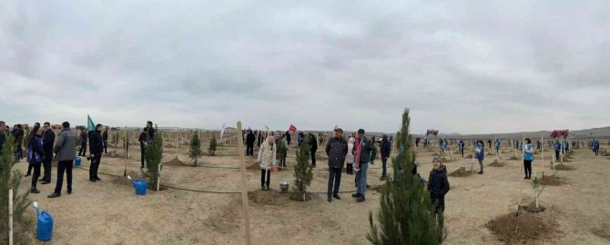 Azerbaycan’da Milli Ağaçlandırma Günü’nde 111 Bin Fidan Dikildi