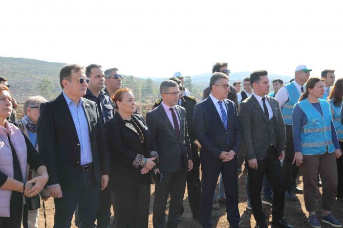 Bodrum’da Yanan Ormanlara 1600 Fidan Diktiler