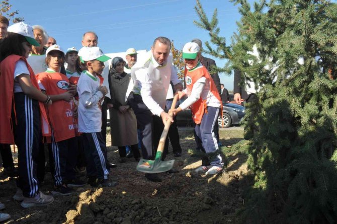 Yalova’da 7 Bin 700 Adet Fidan Toprakla Buluştu