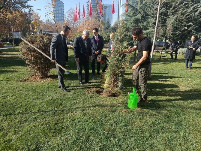 Dışişleri Bakanlığına 44 Ağaç Dikildi