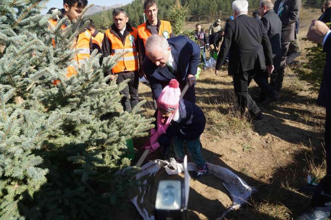 783 Bin Hektar Ormanı Bulunan Kastamonu’da, 185 Bin Hektar Son 50 Yılda Ağaçlandırıldı