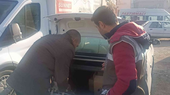 Kiralık Otomobil Bagajında Yavru Köpek Bıraktı, Savunması Pes Dedirtti