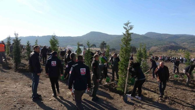 Çanakkale’de 23 Bin Fidan Toprakla Buluştu