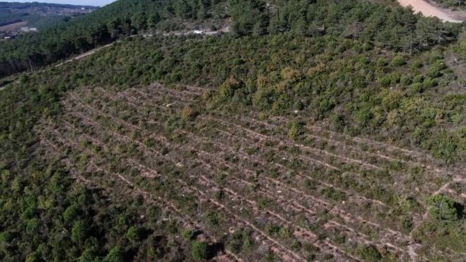 Pendik’te Aydos Ormanı’nda Pkk’lı Teröristin Yaktığı Ormanlık Alanın Son Hali Havadan Görüntülendi