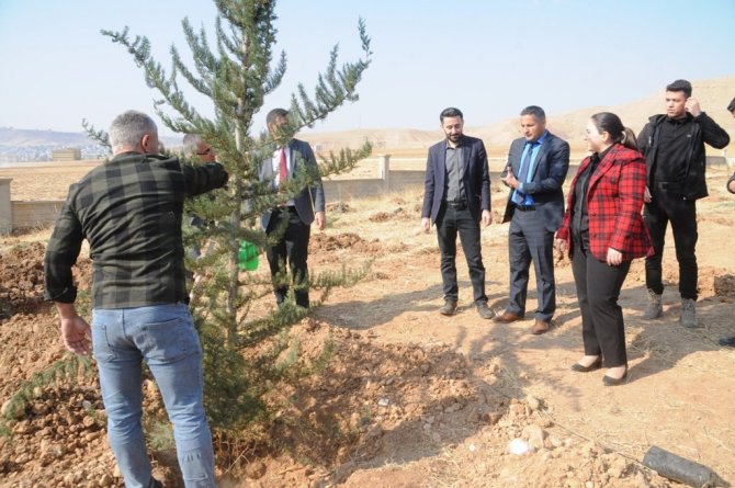 ’Milli Ağaçlandırma Günü’nde Cizre’de 11 Bin Fidan Toprakla Buluştu