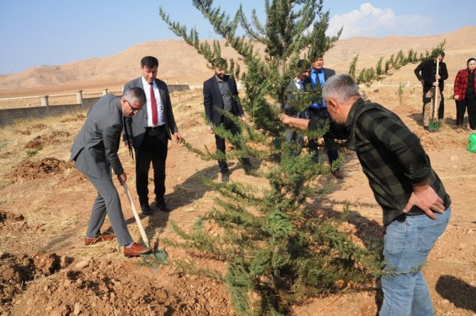 ’Milli Ağaçlandırma Günü’nde Cizre’de 11 Bin Fidan Toprakla Buluştu
