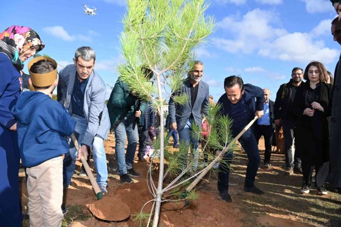 Tuzla’da Milli Ağaçlandırma Günü’nde Şehit Ve Gaziler İçin Ağaç Dikildi
