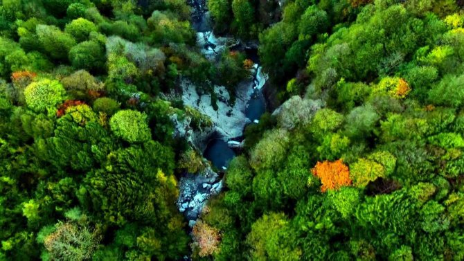 Doğançay Şelalesi Sonbaharda Görenleri Hayran Bırakıyor