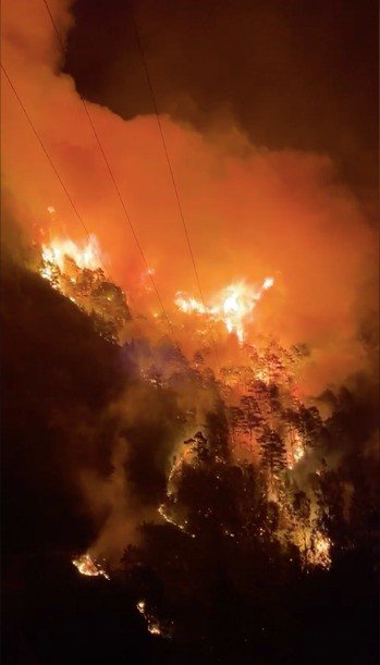Alanya’da Orman Yangını