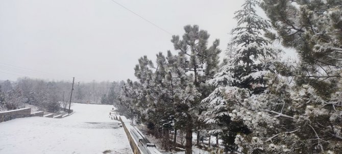 Iğdır’da Yoğun Kar Yağışı: Yollarda Görüş Mesafesi Düştü, Uçak Seferleri İptal Edildi
