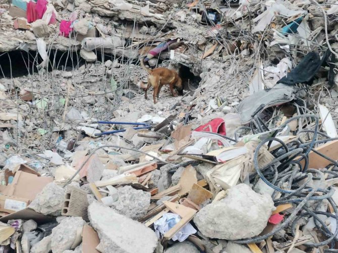 Aydın Büyükşehir’in Arama Kurtarma Ekipleri Deprem Bölgesinde Çalışmalara Başladı