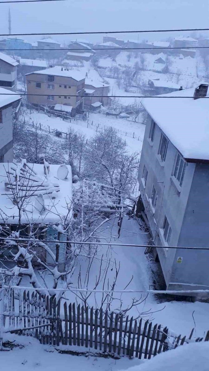 Kar 14 Köy Yolunu Ulaşıma Kapattı
