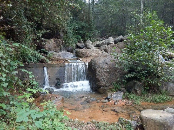 Rize’nin Çayeli İlçesinin Köylerinde Temiz İçme Suyu Sorunu