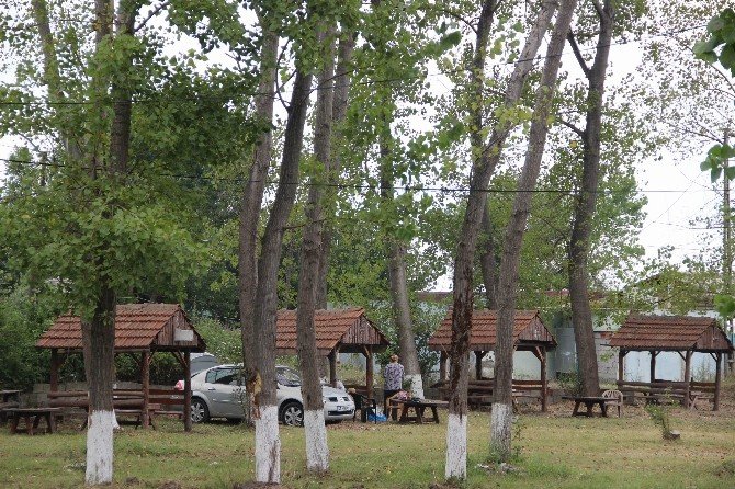 Sinop Ayancık Bungalov Evleri Ayancik Saymoz Otel Ayancik Sinop