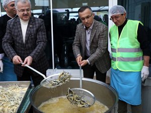 Rize'de 2 Günde Ayıklanan 1,5 Ton Hamsi 2 Saatte Tüketildi