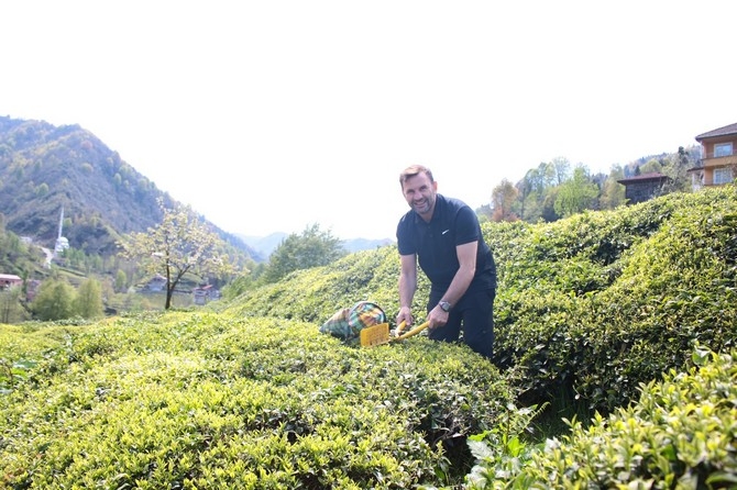 Okan Buruk Rize'de Çay Bahçesinde Çay Topladı 6