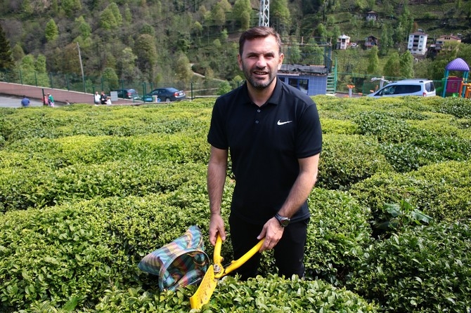 Okan Buruk Rize'de Çay Bahçesinde Çay Topladı 9