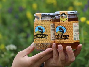 Anzer Balının Kilogramı Bin Lira Oldu