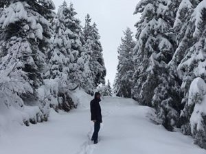 Rize'de kar yağışı etkili oldu