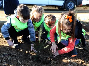 Rize’de 69 Bin Fidan Toprakla Buluştu