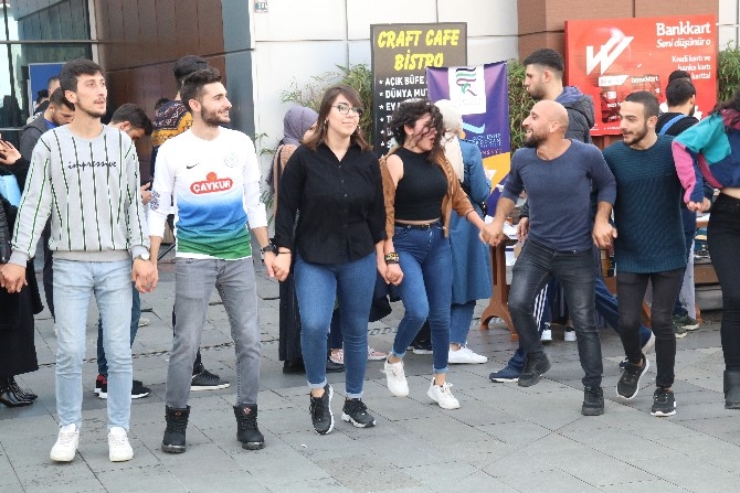 RTEÜ Öğrencileri Festivalde 1 Ton Hamsi Tüketti 13
