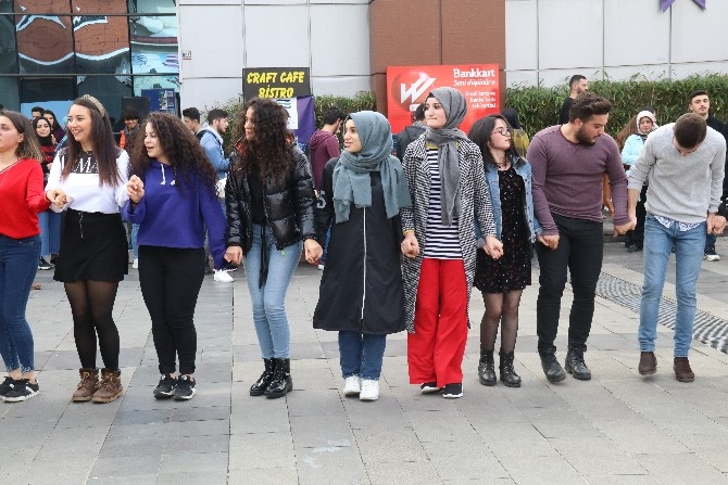 RTEÜ Öğrencileri Festivalde 1 Ton Hamsi Tüketti 15