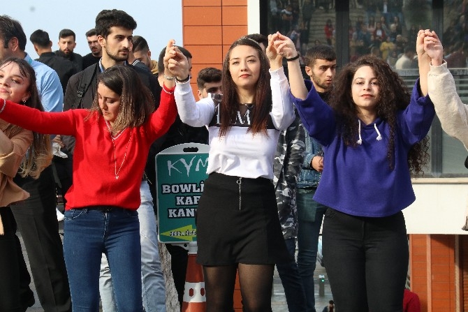 RTEÜ Öğrencileri Festivalde 1 Ton Hamsi Tüketti 21