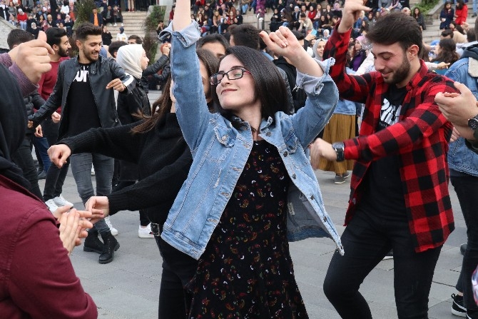 RTEÜ Öğrencileri Festivalde 1 Ton Hamsi Tüketti 28
