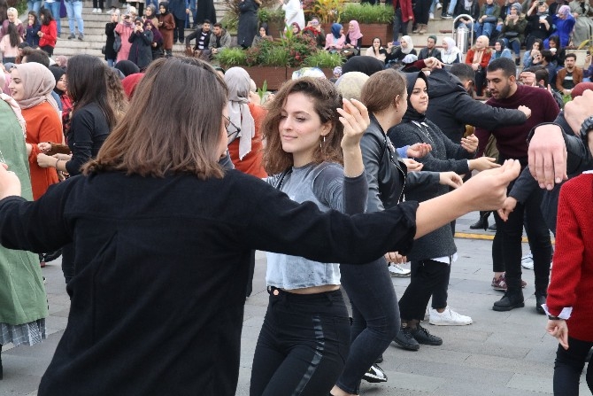 RTEÜ Öğrencileri Festivalde 1 Ton Hamsi Tüketti 30