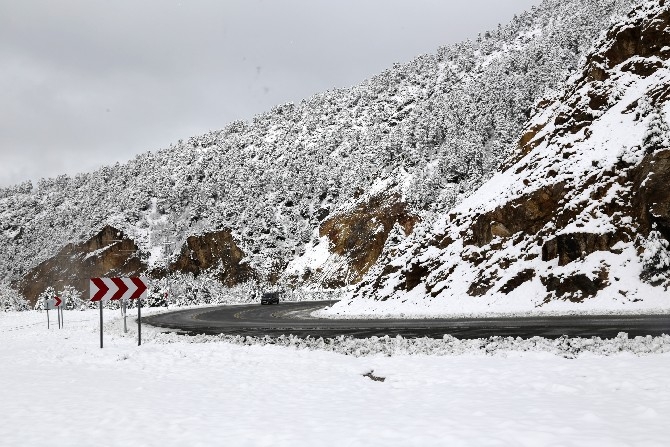 Zigana Dağı'nda kar kalınlığı 15 santimetreyi geçti 12