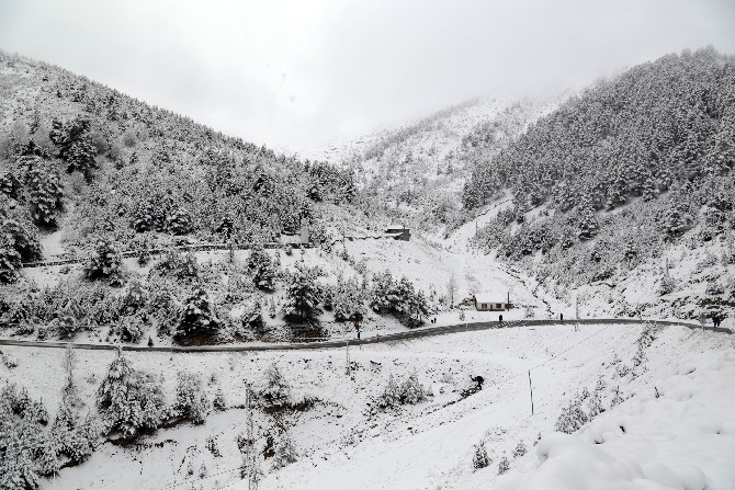 Zigana Dağı'nda kar kalınlığı 15 santimetreyi geçti 19