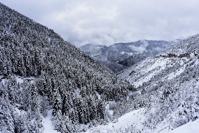 Zigana Dağı'nda kar kalınlığı 15 santimetreyi geçti 3