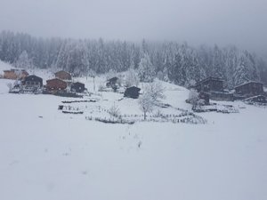 Ayder Yaylası'nda kar kalınlığı 25 santimetreye ulaştı