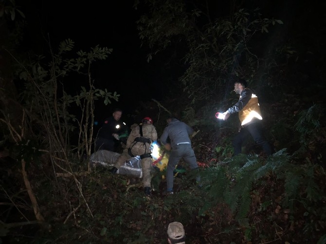 Rize'de kestikleri ağaç üzerlerine devrilen çift öldü 2