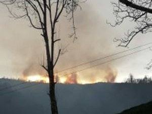 Rize ile Birlikte Karadeniz Cayır Cayır Yanıyor