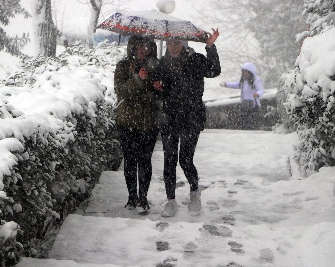 Rize ve Trabzon'da kar yağışı 12