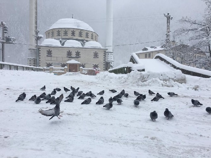 Rize ve Trabzon'da kar yağışı 18