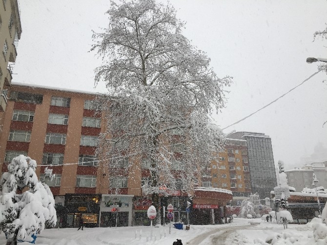 Rize'den Kar Manzaraları 28