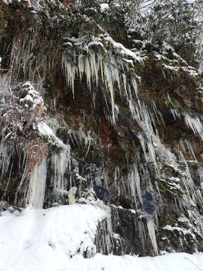Ayder Yaylası'nda kar yağışı sonrasında güzel görüntüler 13