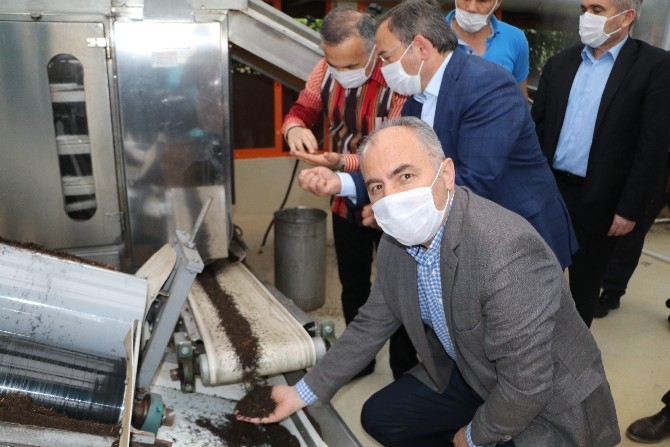 Vali Çeber ve Belediye Başkanı Metin yaş çay topladı 10
