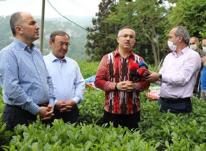 Vali Çeber ve Belediye Başkanı Metin yaş çay topladı 24