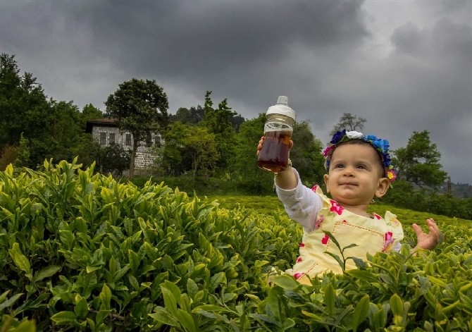 “En Güzel Çay İçen Rizeli” Fotoğraf Yarışmasının Kazananları Belli Oldu 15