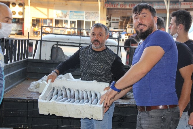 Rize'de balıkçılar kasalar dolusu palamutla döndü 5