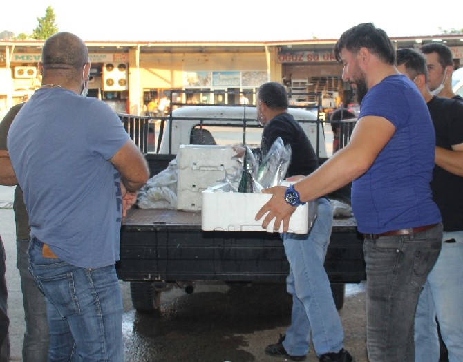 Rize'de balıkçılar kasalar dolusu palamutla döndü 6