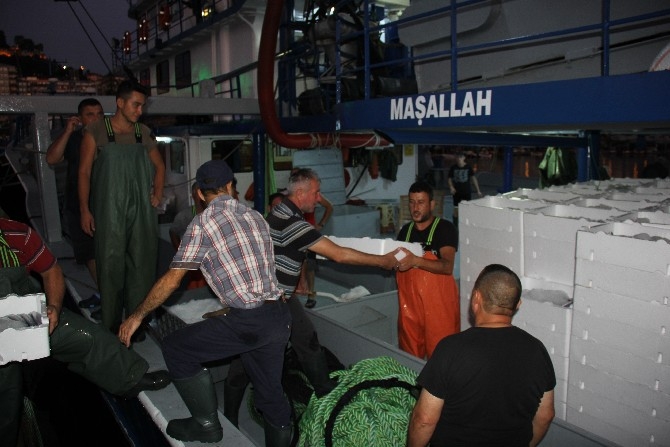 Rize'de balıkçılar kasalar dolusu palamutla döndü 9