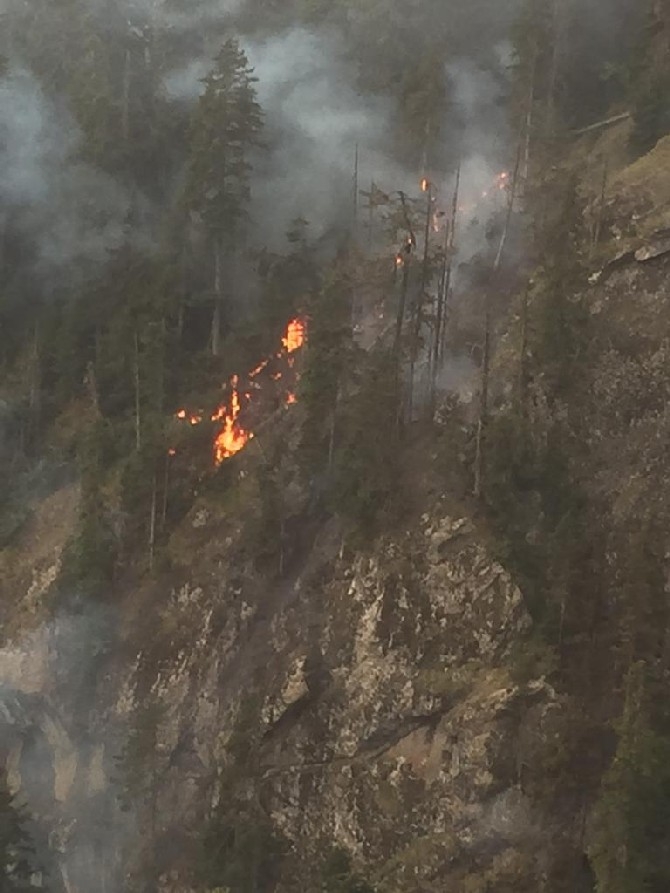 Artvin'de çıkan yangında 4 hektar orman zarar gördü 1