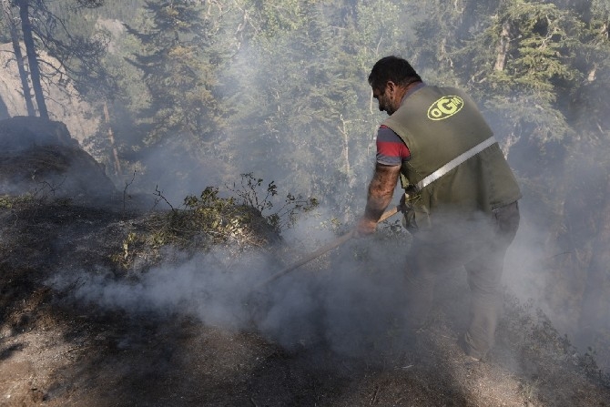 Artvin'de çıkan yangında 4 hektar orman zarar gördü 13