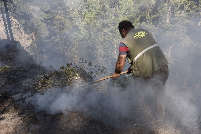 Artvin'de çıkan yangında 4 hektar orman zarar gördü 14