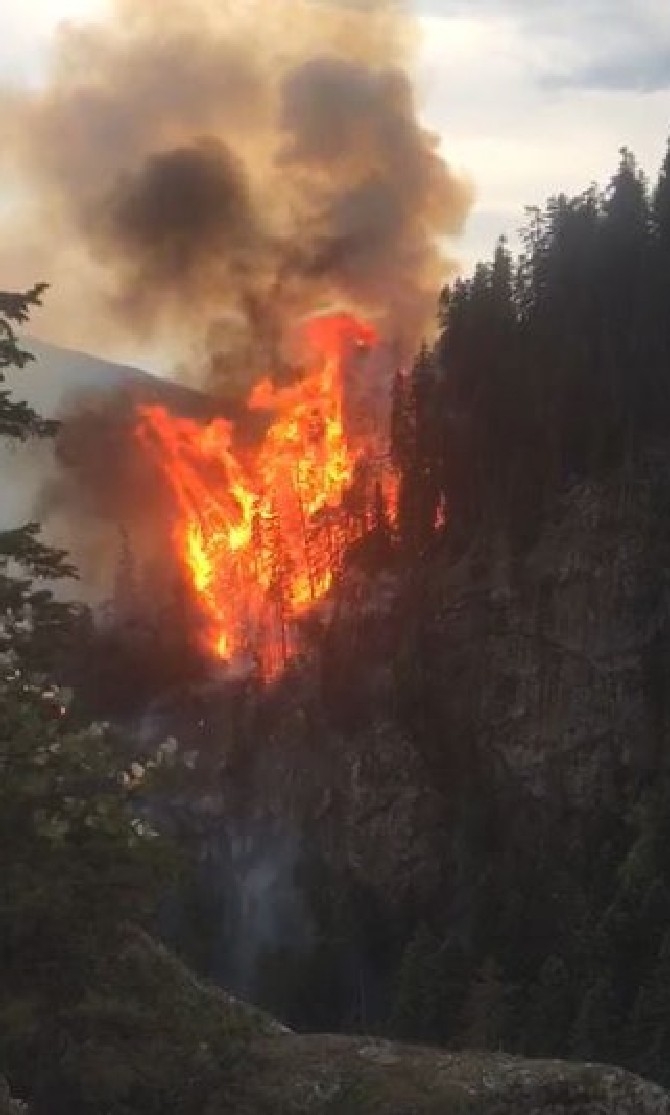 Artvin'de çıkan yangında 4 hektar orman zarar gördü 16